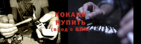 мдпв Костерёво