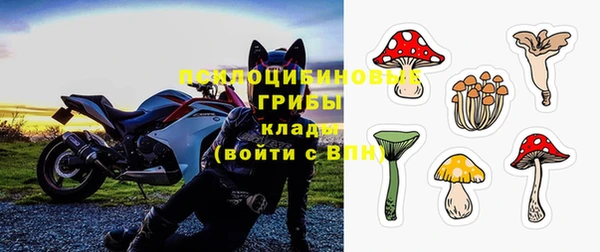 мдпв Костерёво