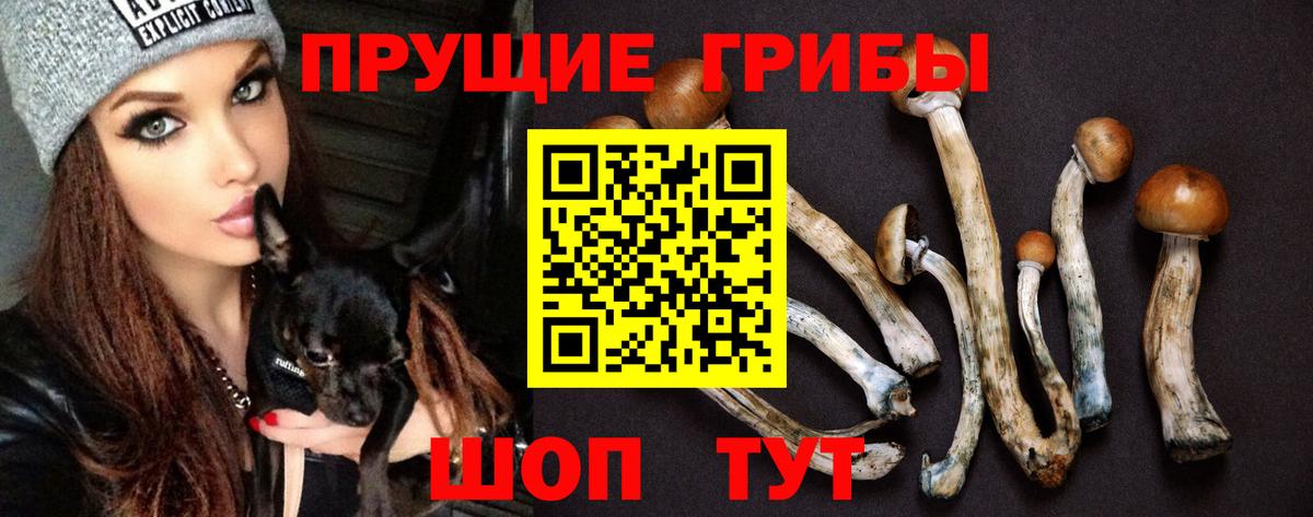 Псилоцибиновые грибы прущие грибы  Вход с VPN  Кушва  Псилоцибиновые грибы MAGIC MUSHROOMS 